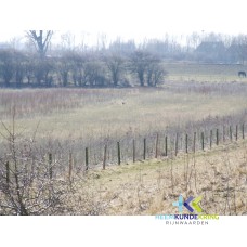 2006-13-03 Geuzenwaard (31)